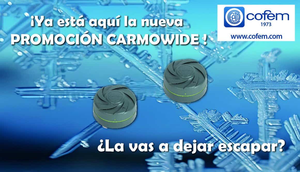 PROMOCIÓN INVIERNO COFEM